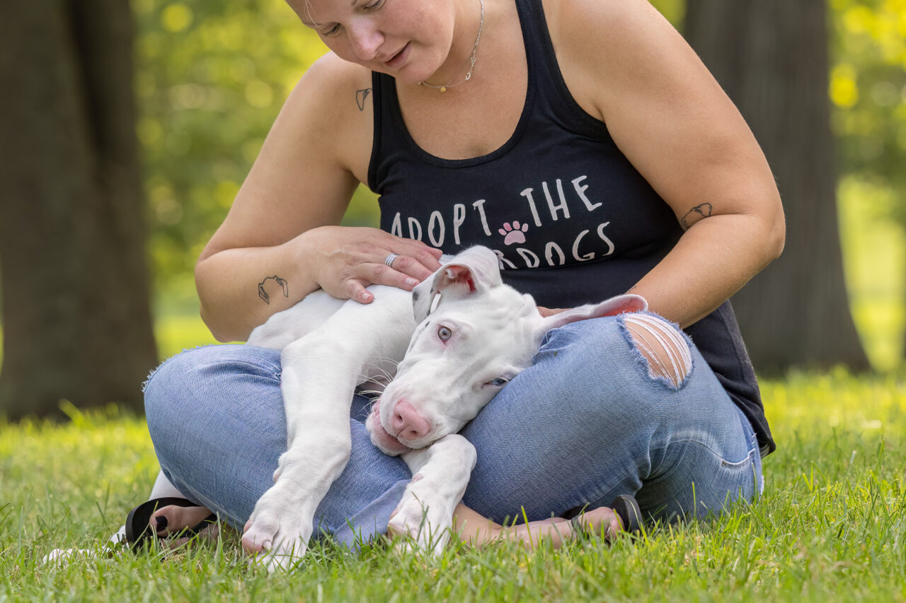 A Dog Mom cradles her Great Dane rescue puppy in her lap at Johnson Park in Grand Rapids, MI.